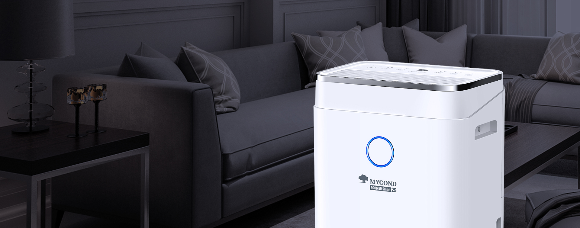 Roomer Smart 25 humidifier